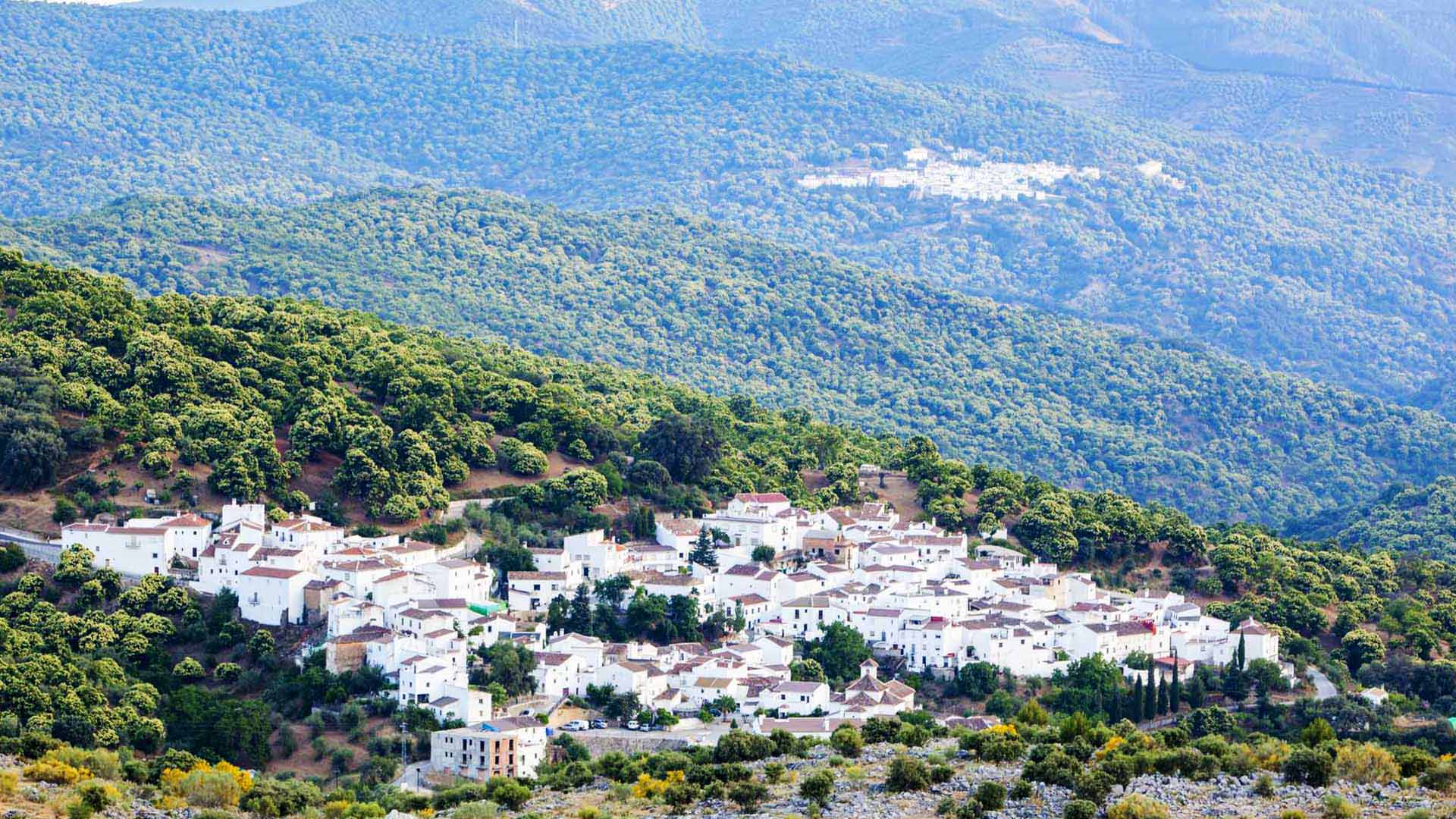 Ronda y su entorno Ronda y su entorno