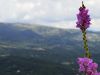 Paisajes andaluces de ensueño